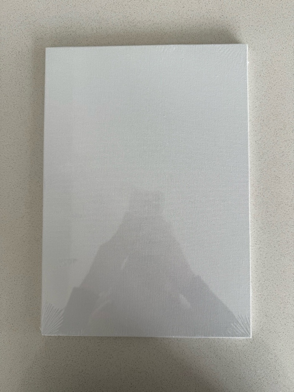 Pack of 3 Sealed Thin Artist Canvases – 8.5” x 12” Art Supplies Painting Drawing